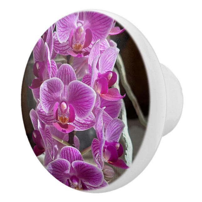 Mini Phalaenopsis Sogo Vivien Lila Orchid Flower Knopp (Höger)