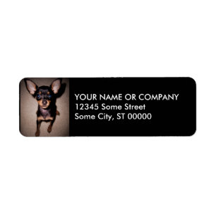 mini- pinscher. returadress etikett