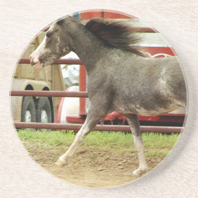 Mini Pinto Horse Gallops Underlägg Sandsten (Framsidan)