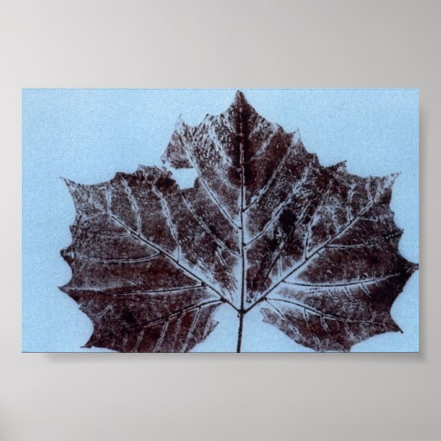 Mini-Poster av Löv naturutskrift Poster (Framsidan)