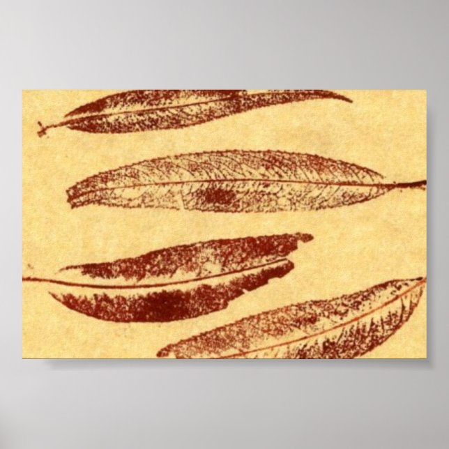 Mini-Poster av Löv naturutskrift Poster (Framsidan)