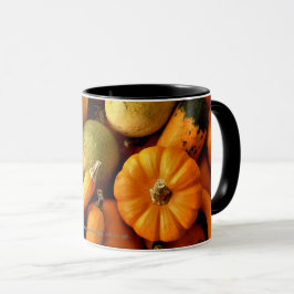 Mini Pumpkins and Gourds Assortfoto 2 Mugg