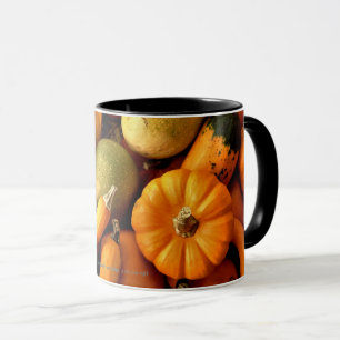 Mini Pumpkins and Gourds Assortfoto 2 Mugg