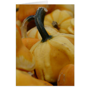 Mini Pumpkins Hälsningskort