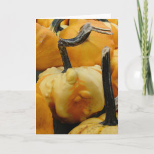 Mini Pumpkins Kort