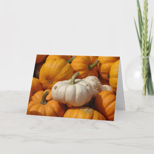 Mini-pumpor, Thanksgiving Helgkort (Framsida)