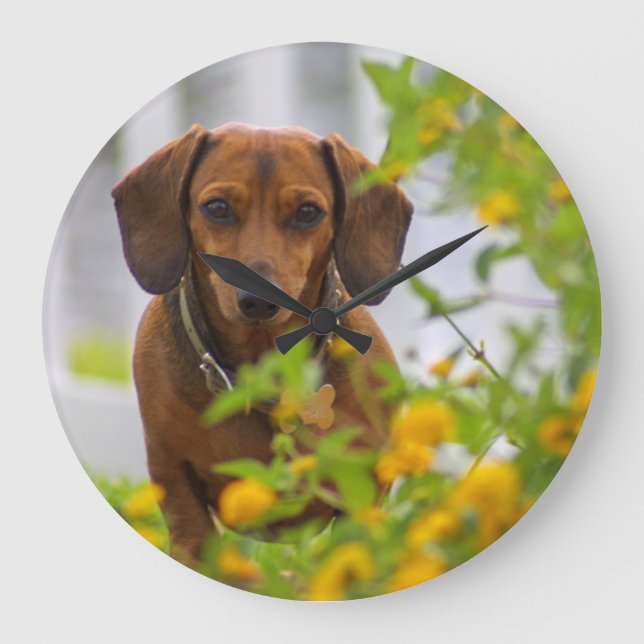 Mini Red Dachshund Clock Stor Klocka (Framsida)