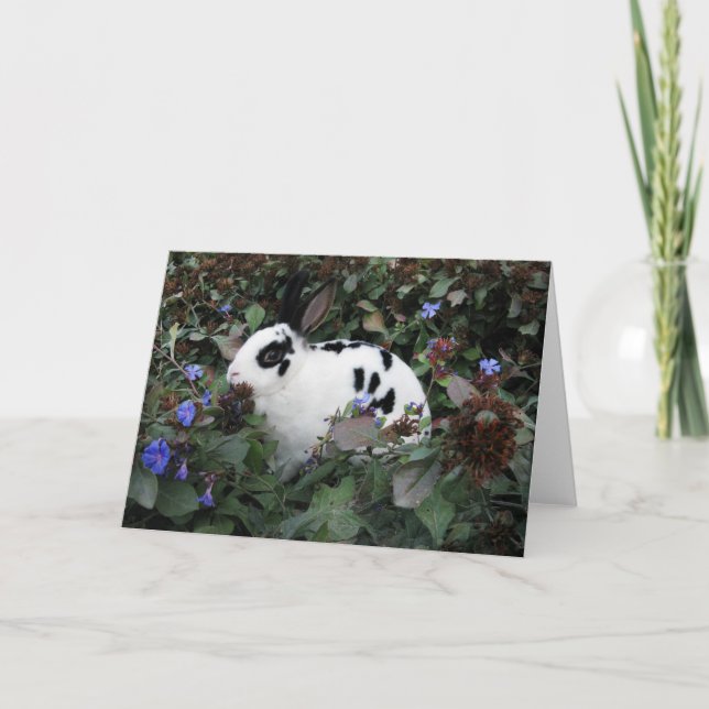 Mini Rex-kaninhälsningskort Kort (Framsida)
