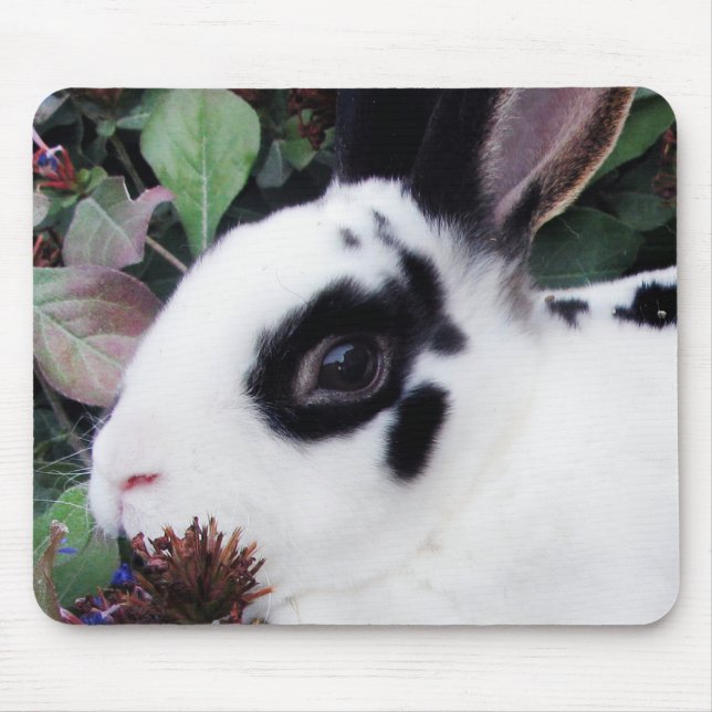 Mini- Rex Mousepad Musmatta (Framsidan)