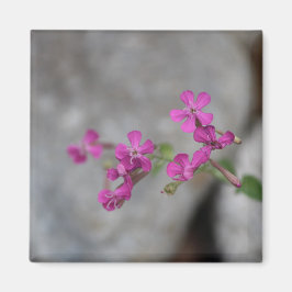 Mini Rosa Flowers med stenar Magnet