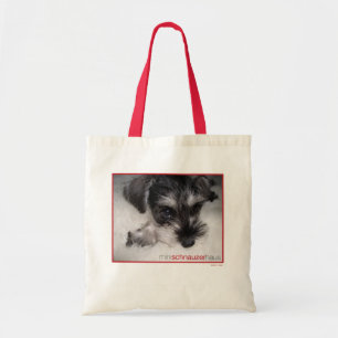 Mini- Schnauer valp Tygkasse