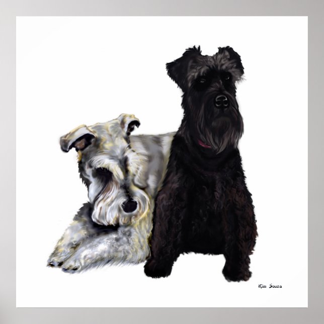 Mini Schnauzer Buddies Poster (Framsidan)