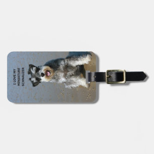 mini- schnauzer-kärlek w-pic bagagebricka