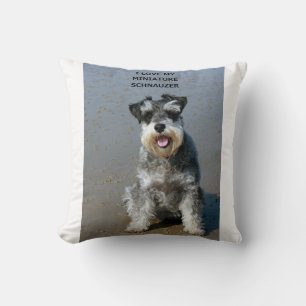 mini schnauzer-kärlek w pic kudde