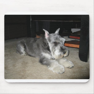 Mini_Schnauzer-läggning Musmatta