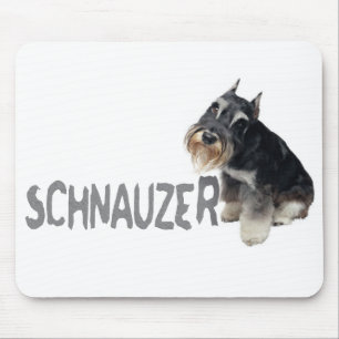 Mini- Schnauzer Musmatta