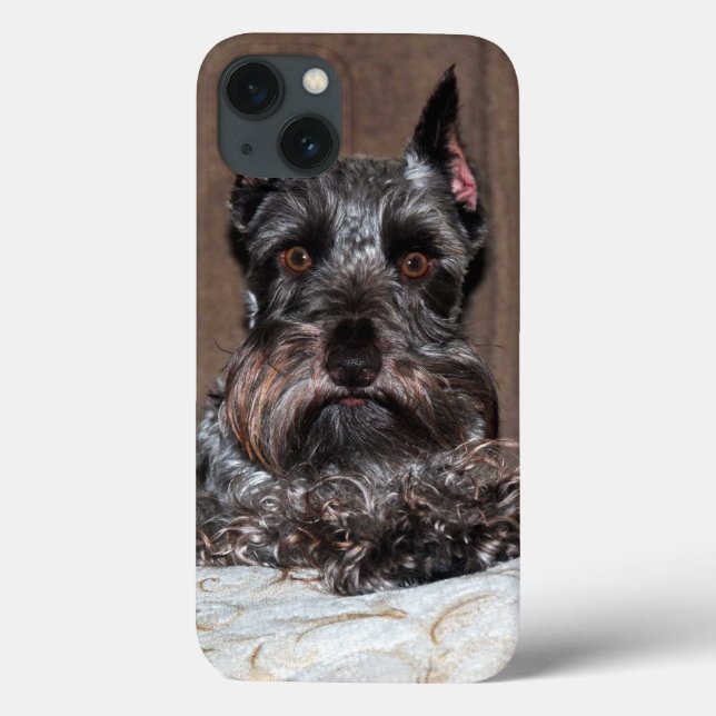 Mini Schnauzer Porträtt på iPad-väska (Baksida)