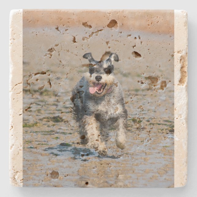 mini schnauzer run stenunderlägg (Framsidan)