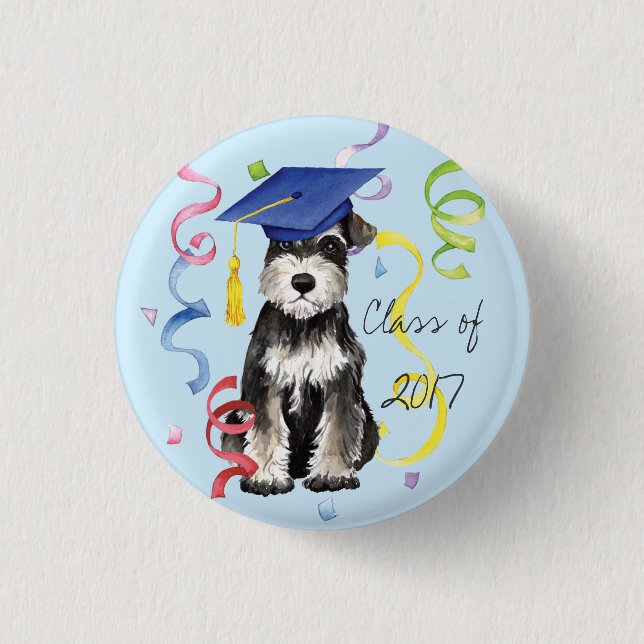 Mini Schnauzer Student Knapp (Framsida)