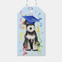 Mini Schnauzer Student