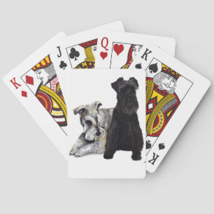 Mini- Schnauzerkort Kortlek