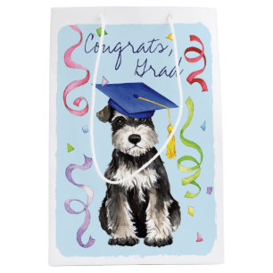 Mini- Schnauzerstudent