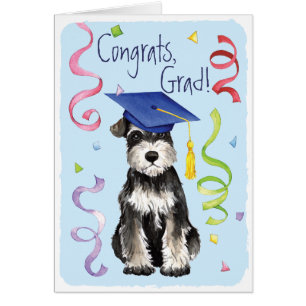 Mini- Schnauzerstudent Hälsningskort