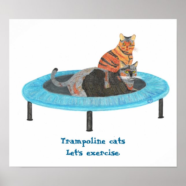 Mini studs trampolin Katter, Låt oss träna Affisch (Framsidan)