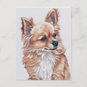 Mini the Chihuahua DogArt Postcard Vykort