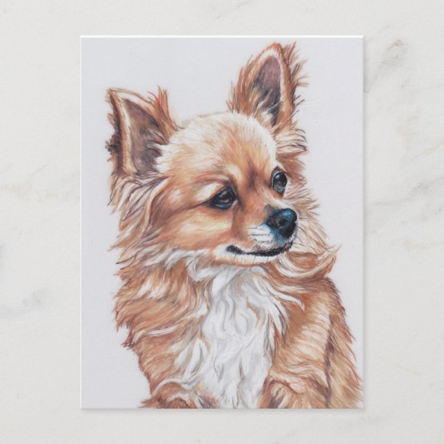 Mini the Chihuahua DogArt Postcard Vykort (Framsida)