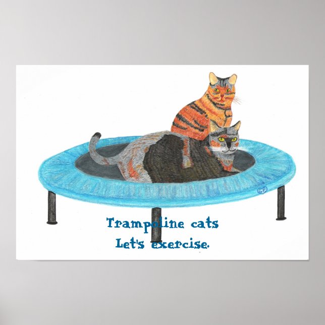 Mini Trampolin Katter, Låt oss träna Posters (Framsidan)