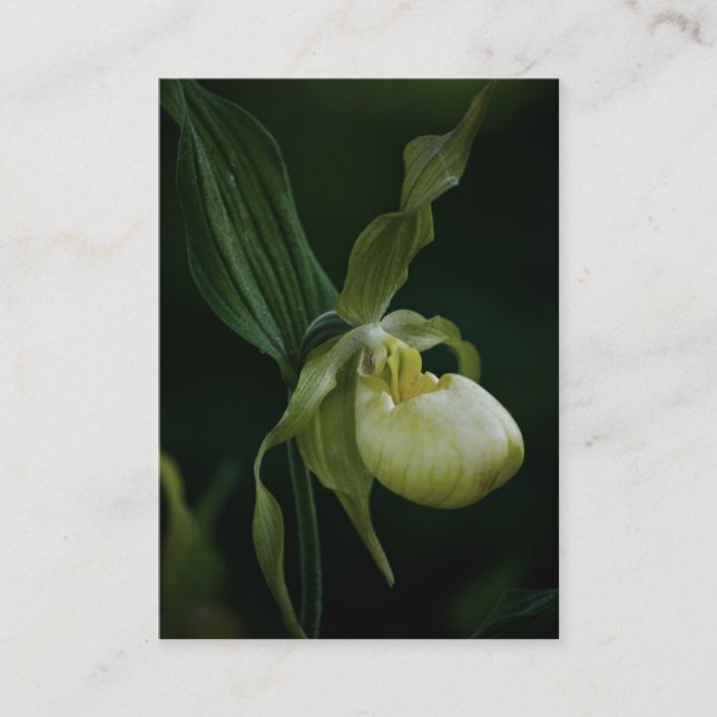 Mini-utskrift av gult visitkort (Framsida)