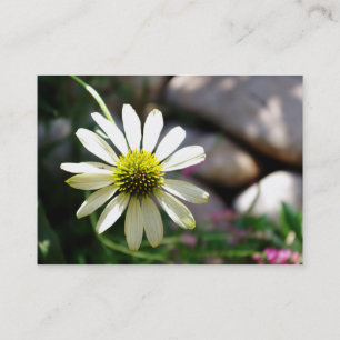 Mini-utskrift för sommardag i Lazy Daisy Visitkort