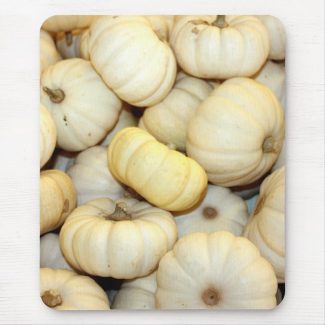 Mini White Pumpkins Musmatta (Framsidan)