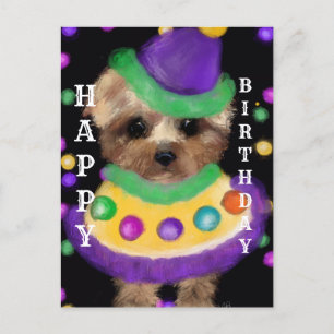 MINI YORKIE POO VYKORT