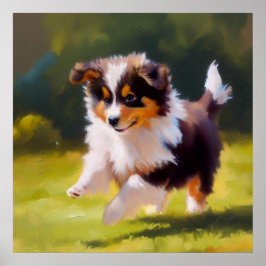 Miniature American Shepherd Hund Poster