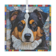 Miniature American Shepherd Hund ’Stached Glass’