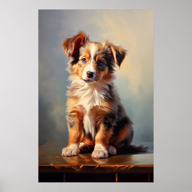 Miniature American Shepherd Poster (Framsidan)