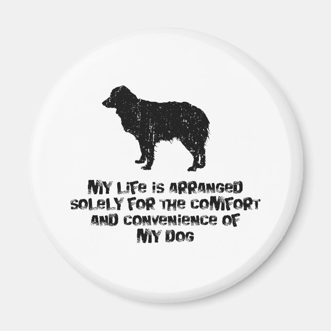 Miniature Australian shepherd Magnet (Framsidan)