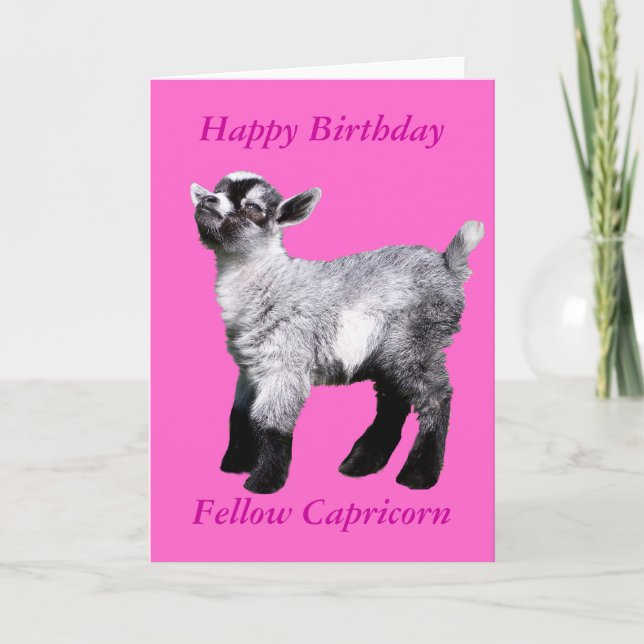 Miniature Baby Goat Card Kort (Framsida)