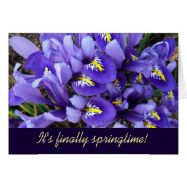 Miniature Blue Irises Vår Blommigt Hälsningskort