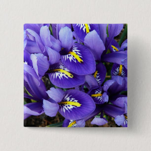 Miniature Blue Irises Vår Blommigt Knapp