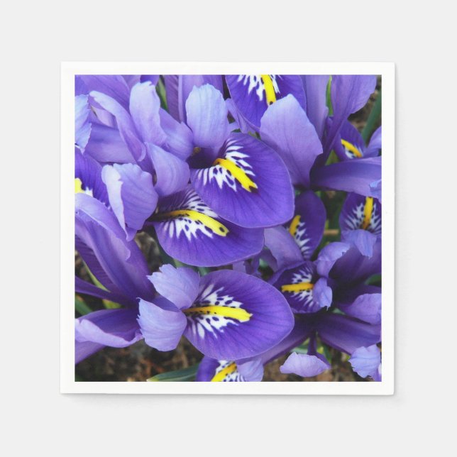 Miniature Blue Irises Vår Blommigt Pappersservett (Framsidan)