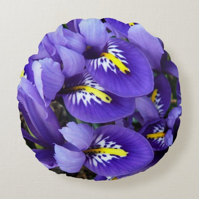 Miniature Blue Irises Vår Blommigt Rund Kudde (Framsidan)