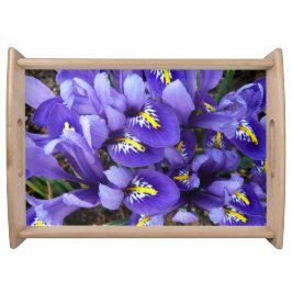 Miniature Blue Irises Vår Blommigt Serveringsbricka