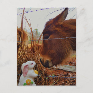 Miniature Brown horse & Påskhare Helg Vykort