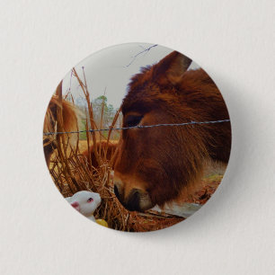 Miniature Brown horse & Påskhare Knapp