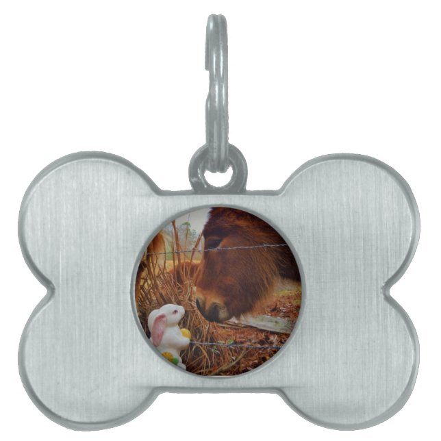 Miniature Brown horse & Påskhare Namnbricka Husdjur (Framsidan)