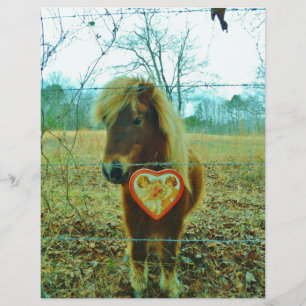 Miniature Brown horse Valentine Heart