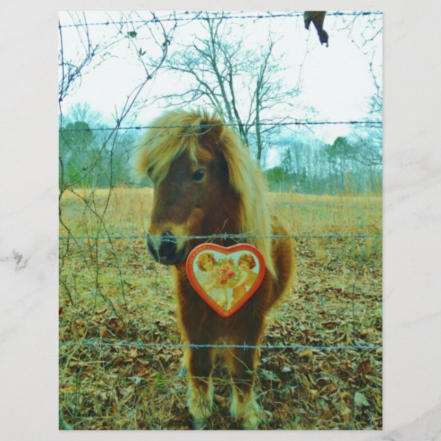 Miniature Brown horse Valentine Heart (Framsida)